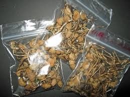 buy dry liberty caps psilocybin mushrooms uk, liberty caps uk, dried liberty caps