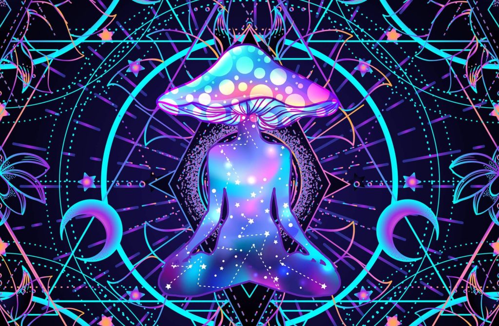 buy psychedelic mushroom uk, certified psychedelic vendors uk