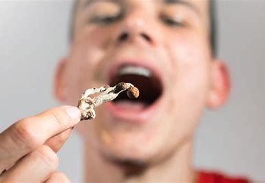 Microdosing mushrooms for anxiety