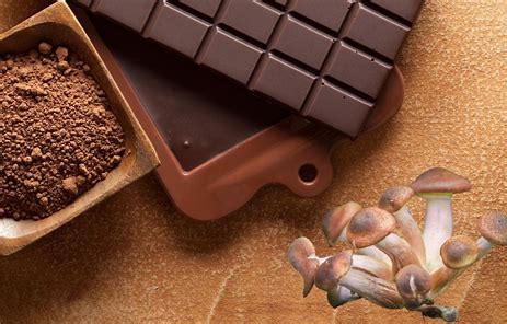 Magic Mushroom Chocolates