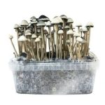 magic mushroom grow kits uk