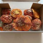 Fly Agaric Magic Mushroom