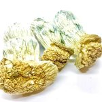 Buy Melmac Penis Envy