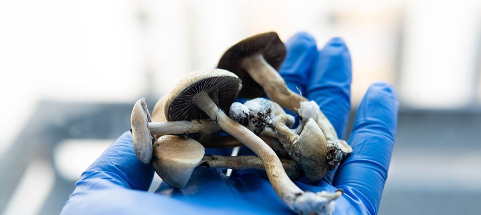 psilocybin legal status uk