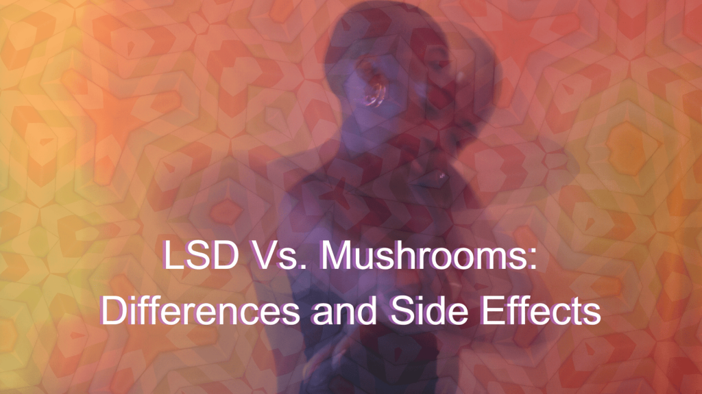 psilocybin vs lsd