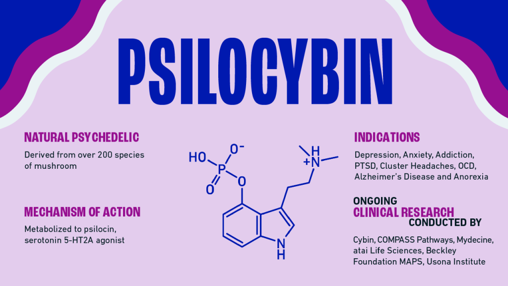DMT Compared to Psilocybin Mushrooms