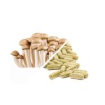 Microdosing Sample Pack: Neuro Blend (15 caps) + 3.5 Grams